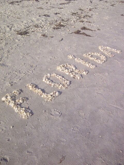 See You Soon, Florida